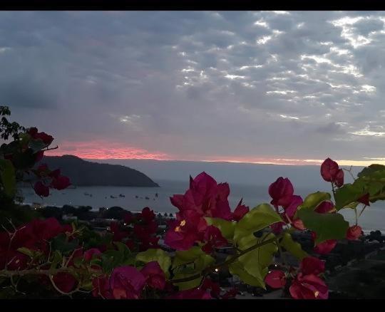 Maremonti Vacation Rental Puerto López Zewnętrze zdjęcie